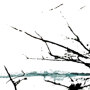 Tenhi – Vare