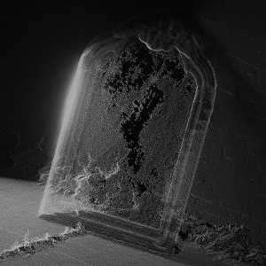 Visible Cloaks – Paradessence