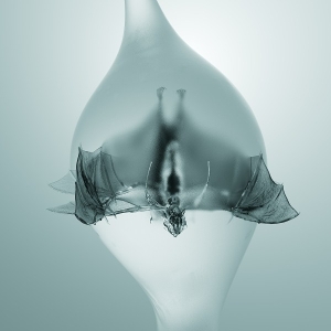 Unprocessed – Angel