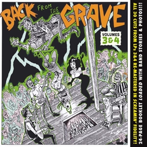 V/A – Back From the Grave, Vol. 3 & 4