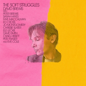 Brewis, David – Soft Struggles