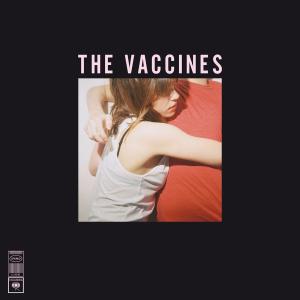 Vaccines, the – What Did You Expect From the Vaccines?