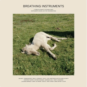 V/A – Breathing Instruments