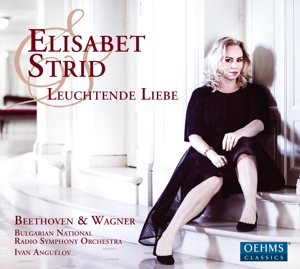 Strid, Elisabet – Leuchtende Liebe