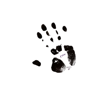 Schnitzler, Conrad – Con 84