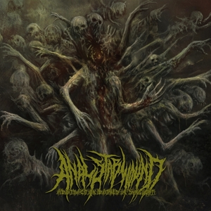 Anal Stabwound – Abstraction Bathes In Sunlight