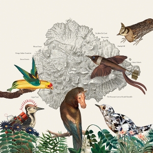 Friendly Rich – The Birds of Marsville