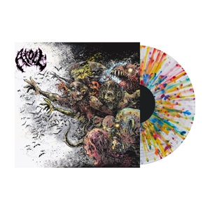Atoll – Prepuce