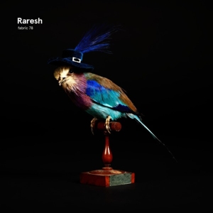 V/A – Fabric 78: Raresh