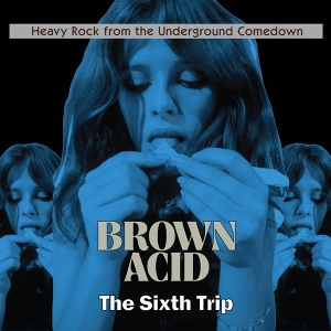 V/A – Brown Acid: Sixth Trip