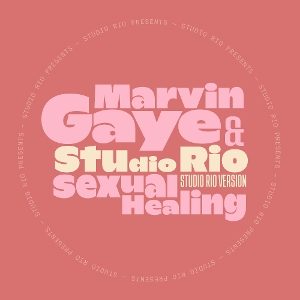 Marvin Gaye & Studio Rio – 7-Sexual Healing
