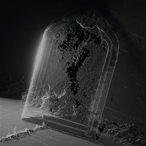 Visible Cloaks – Paradessence