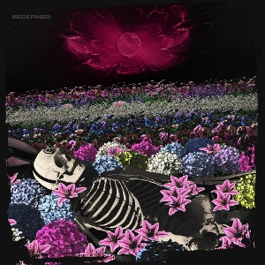 Dead Rabbitts – Redefined