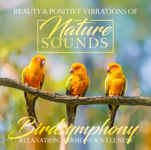 V/A – Birdsymphony