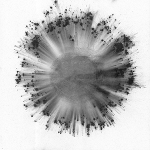 Trentemoller – Obverse