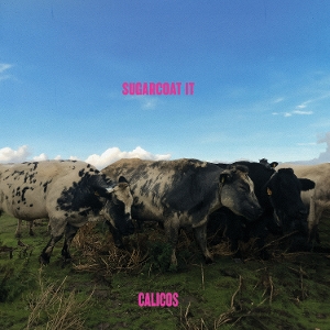 Calicos – Sugarcoat It