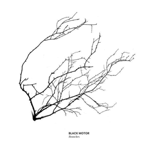 Black Motor – Branches