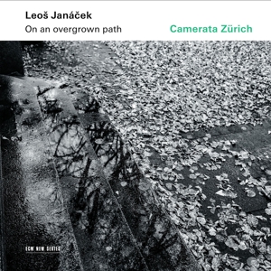 Camerata Zurich – On an Overgrown Path
