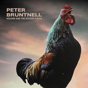 Bruntnell, Peter – Houdini and the Sucker Punch