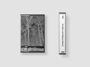 Pile – Sunshine and Balance Beams