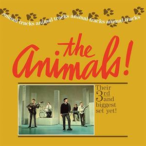 Animals – Animal Tracks