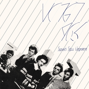 Voigt – Slights Still Unspoken