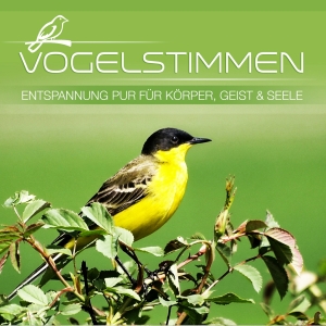 V/A – Vogelstimmen - Entspannung Fur Korper, Geist Und Seele