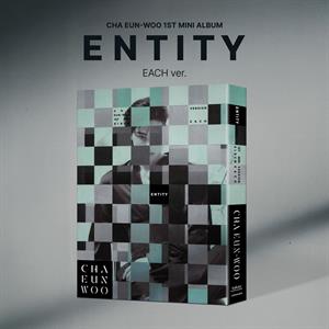 Cha, Eun-Woo – Entity