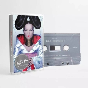 Bjork – Homogenic