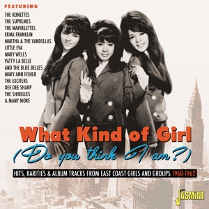V/A – What Kind of Girl (Do You Think I Am?)