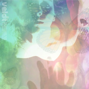 Veldt – Shocking Fuzz of Your Electric Fur: the Drake Equation