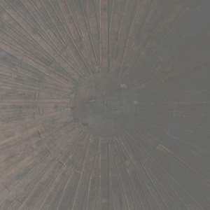 Basinski, William & Lawrence English – Selva Oscura