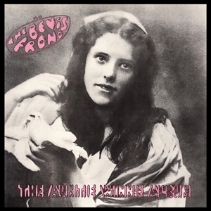 Bevis Frond – The Auntie Winnie Album