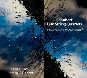Fitzwilliam Quartet – Schubert: Late String Quartets/G Major & C Minor Quartettsatz