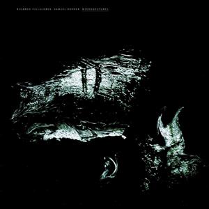 Villalobos, Ricardo & Samuel Rohrer – Microgestures