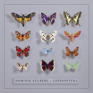 Eulberg, Dominik – Lepidoptera