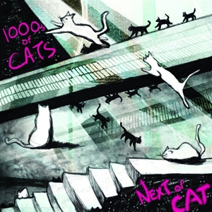 1000s of Cats – Next of Cat