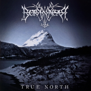 Borknagar – True North