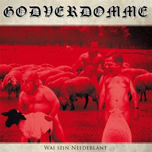 Godverdomme (Tim Steinford) – Wai Sein Neederlant!