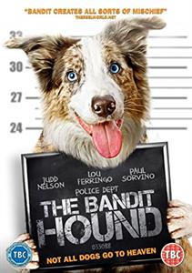 Movie – Bandit Hound
