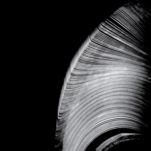 Near the Parenthesis – Helical