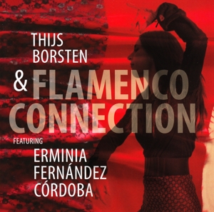 Various – Flamenco Connection