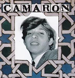 Camaron – Venta De Vargas