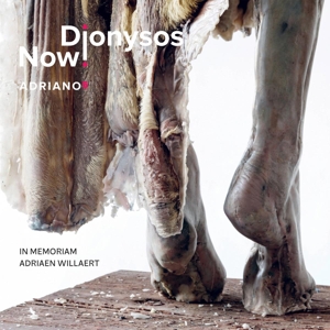 Dionysos Now! – Adriano 5