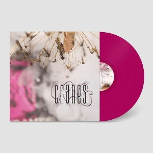Cranes – Fuse