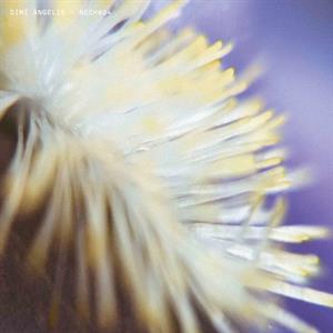 Angelis, Dimi – Nech034