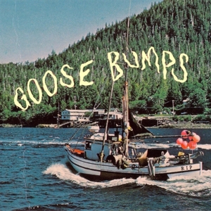 Boyscott – Goose Bumps