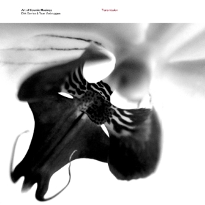 Art of Cosmic Musings – Transmission