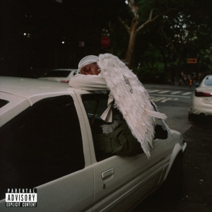 Blood Orange – Negro Swan