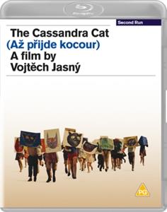 Movie – Cassandra Cat